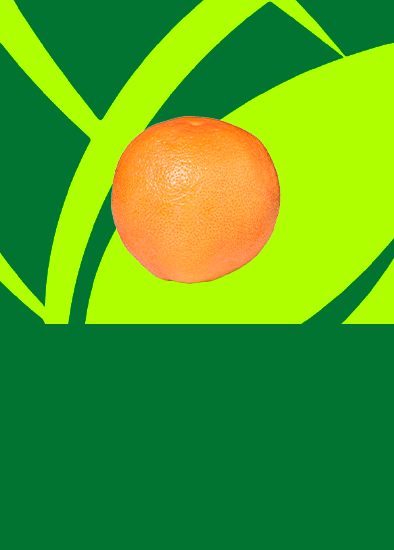 Grapefruit