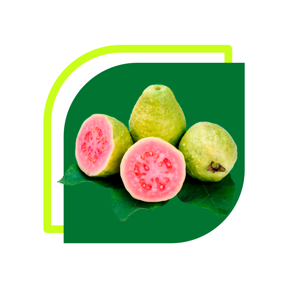 Goiaba