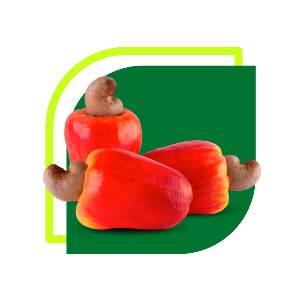 Caju