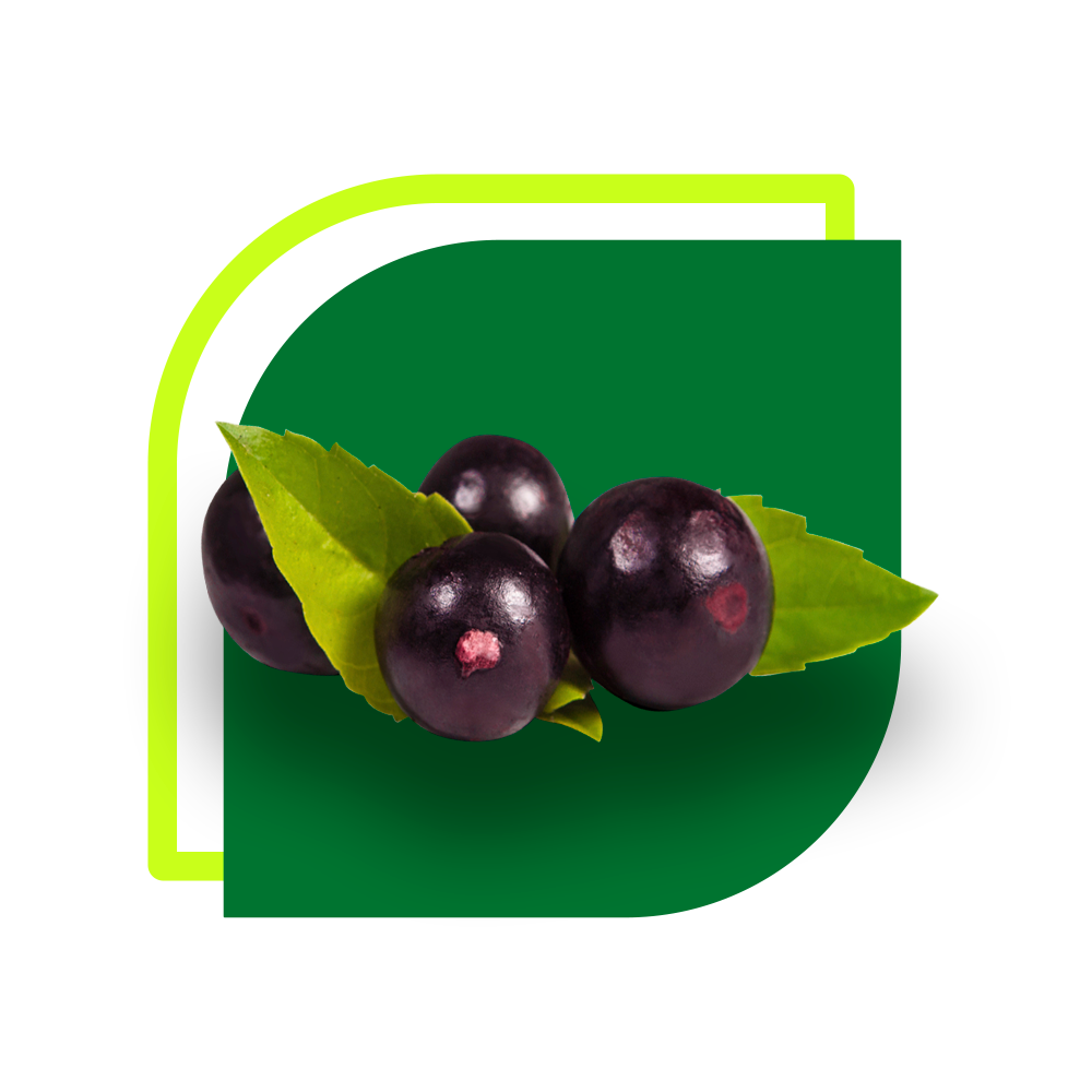 Açaí