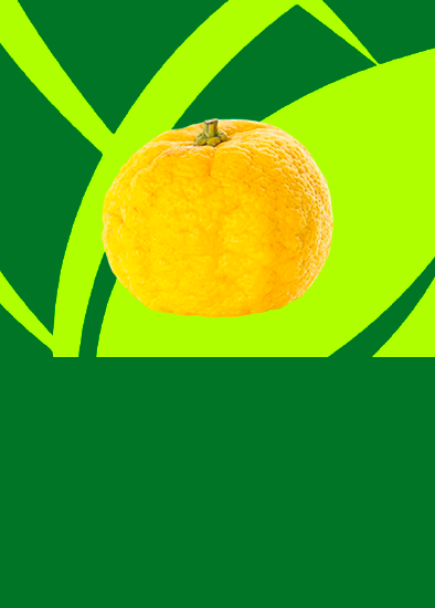 Limão Yuzu