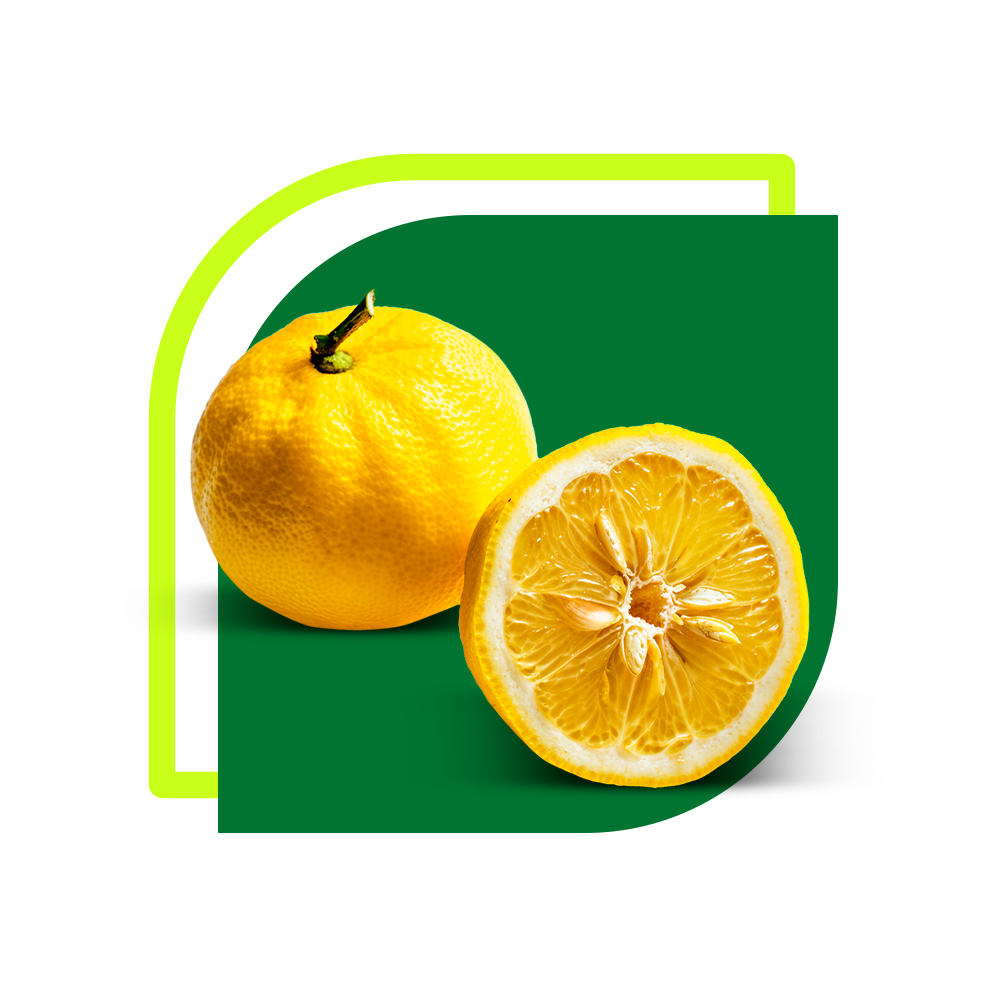 Yuzu
