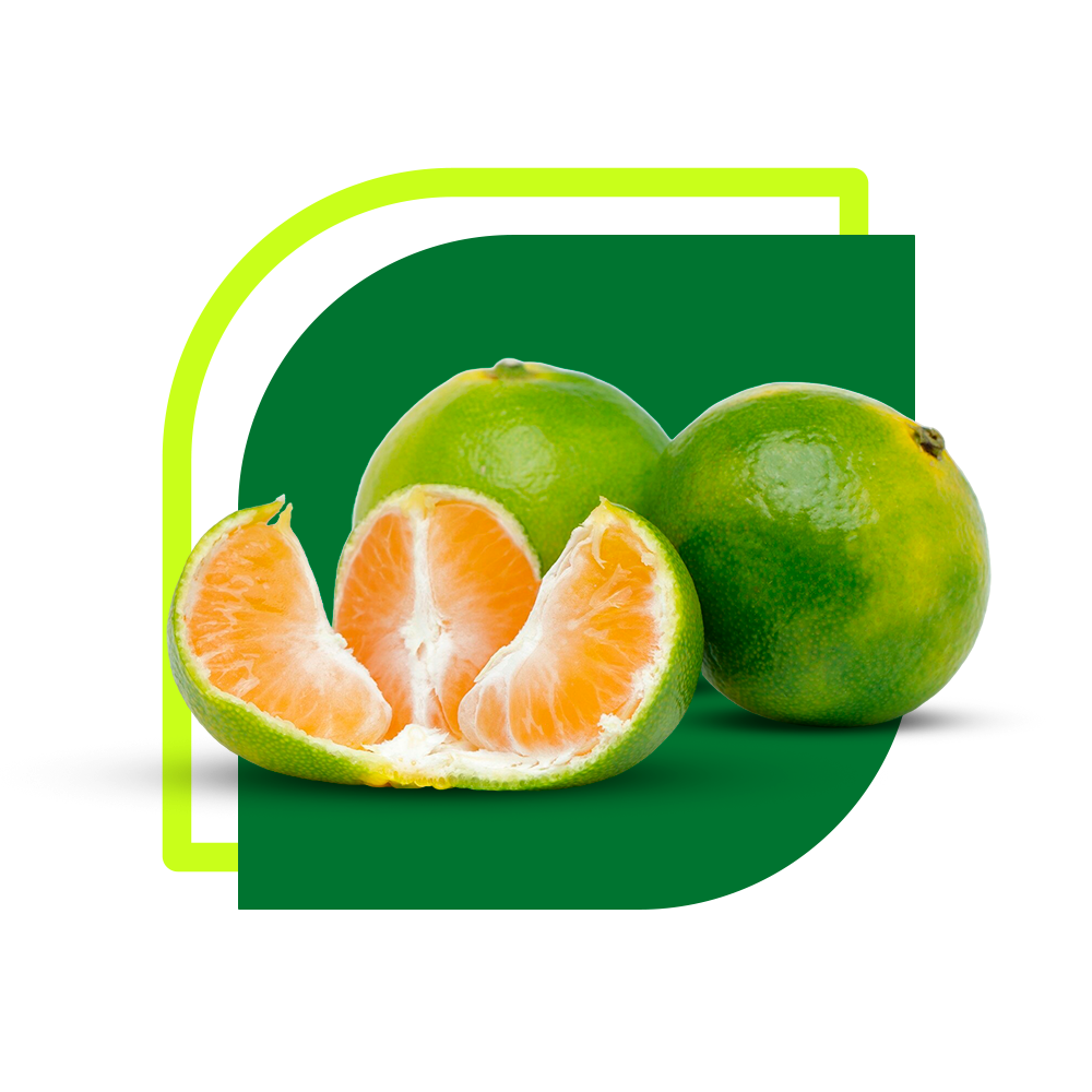 Mandarina Verde