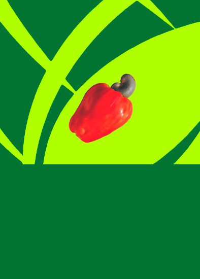 Caju