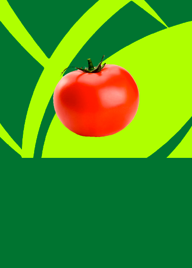 Tomate