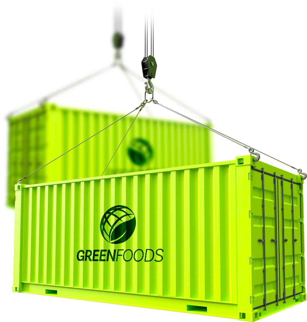 Container Green Foods