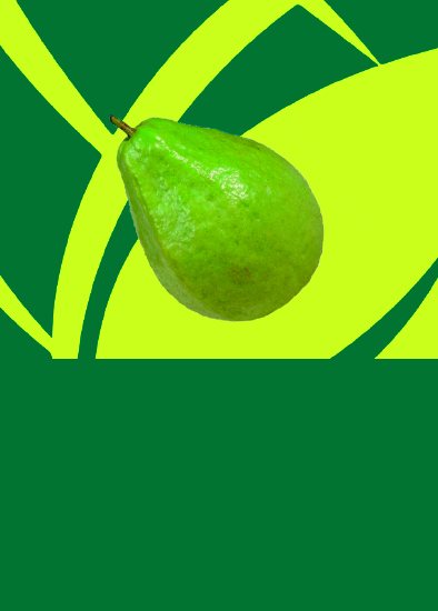 Goiaba