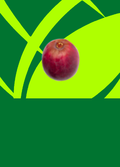 Uva