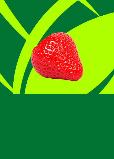 Morango