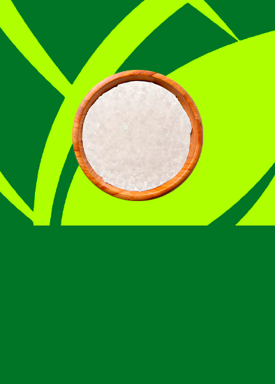 Tapioca