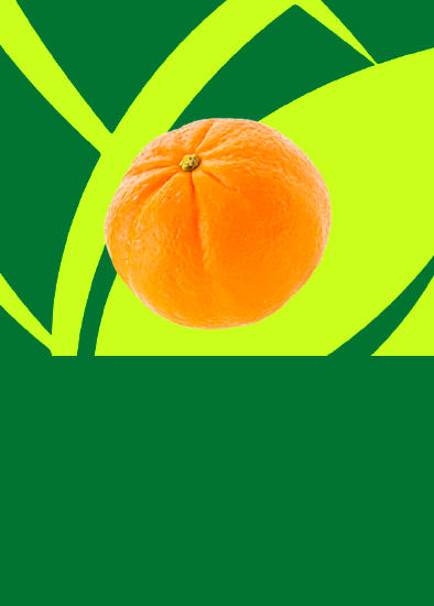 Tangerina